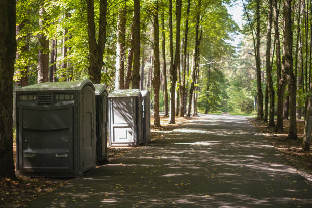 Best Luxury portable toilet rental  in Hornell, NY